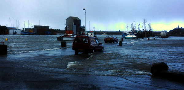 Whitehaven Lime Tongue in flood