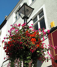 Hanging basket on lamppost