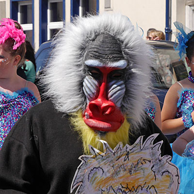 mandrill mask