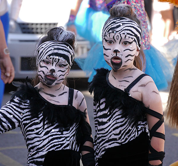 zebra costumes