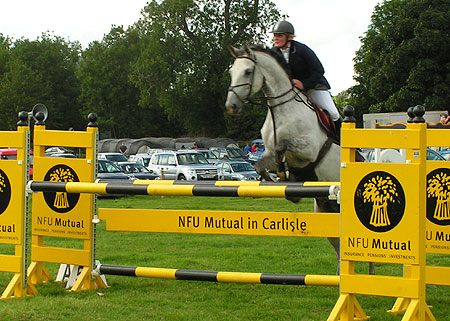 horse jumping