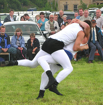 Wrestling throw