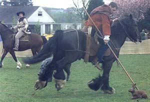 Hunting on horseback