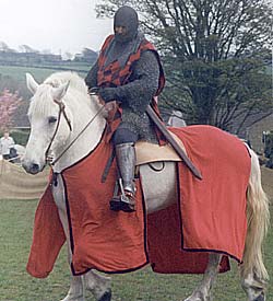 Knight on horseback