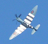 Spitfire