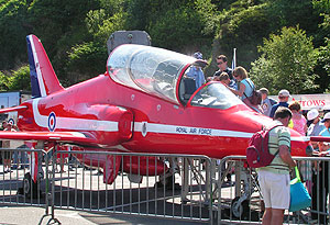 RAF hawk on display