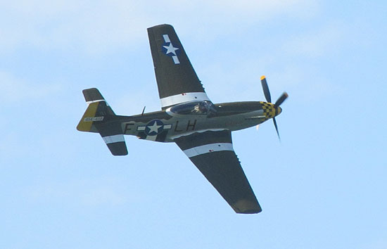 Mustang at Whitehaven