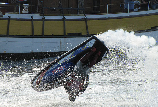 Dog watches Jet Ski flip