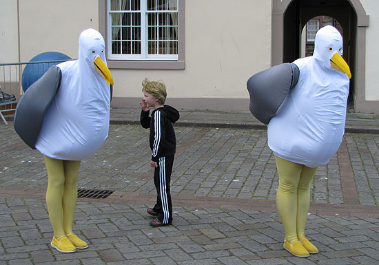 Rather large seagulls at Whitehaven