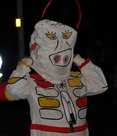 Mir bull costume