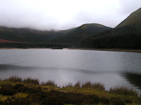 Cogra moss trout lake near lamplugh