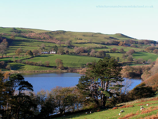 view from Darling fell across the lake