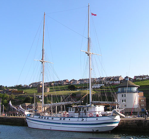 next wave tall ship at whitehaven