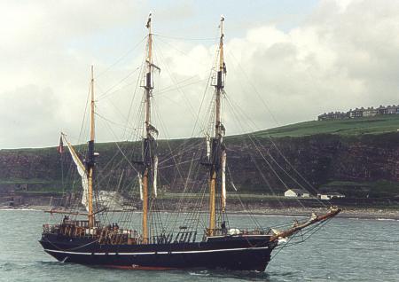 Kaskelot in front of bransty cliffs