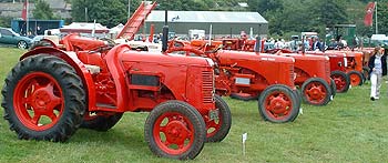 David Brown Tractor in a row
