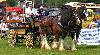 Horse and carriage rides