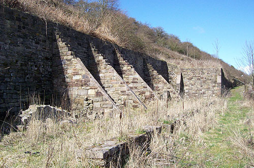 Remains of Castle Row at Newhouses