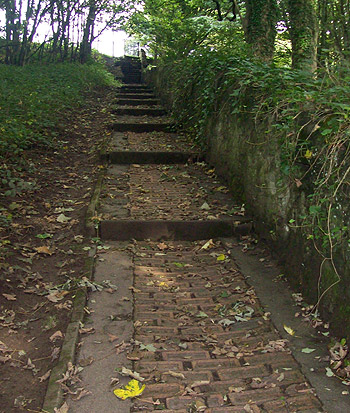 Pathway made of Whitehaven bricks